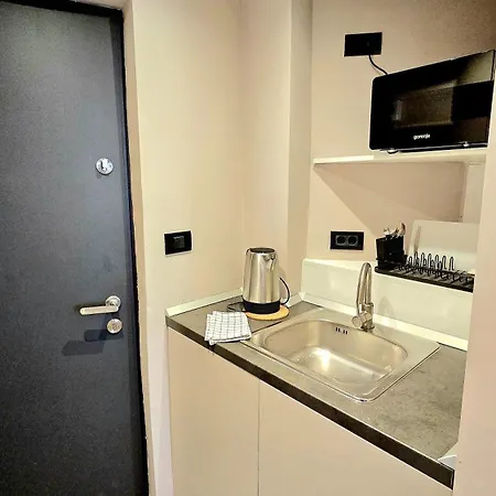 Apartment Downtown Doamnei *