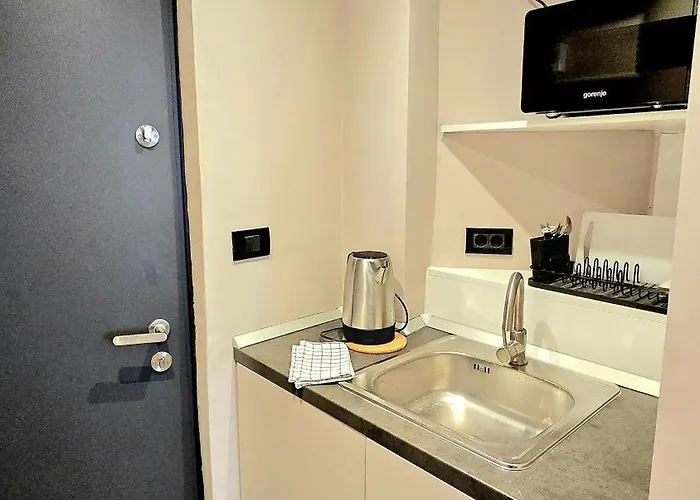 Apartment Downtown Doamnei *